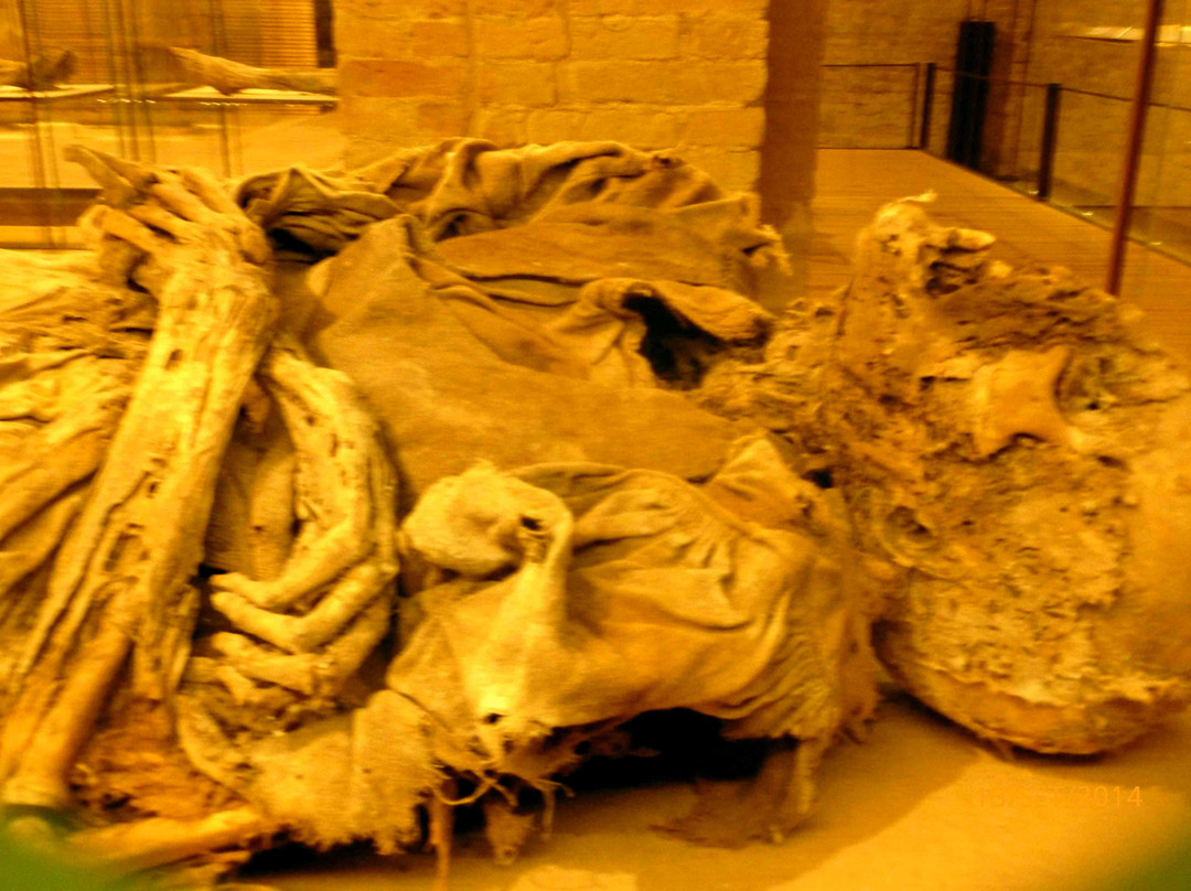 Museo della Cripta - Le Mummie di Monsampolo景点图片