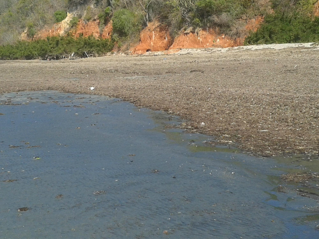 Falesias em Ponta Grossa-Icapui必去景点