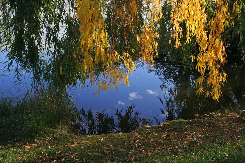 格里芬湖-堪培拉必去景点