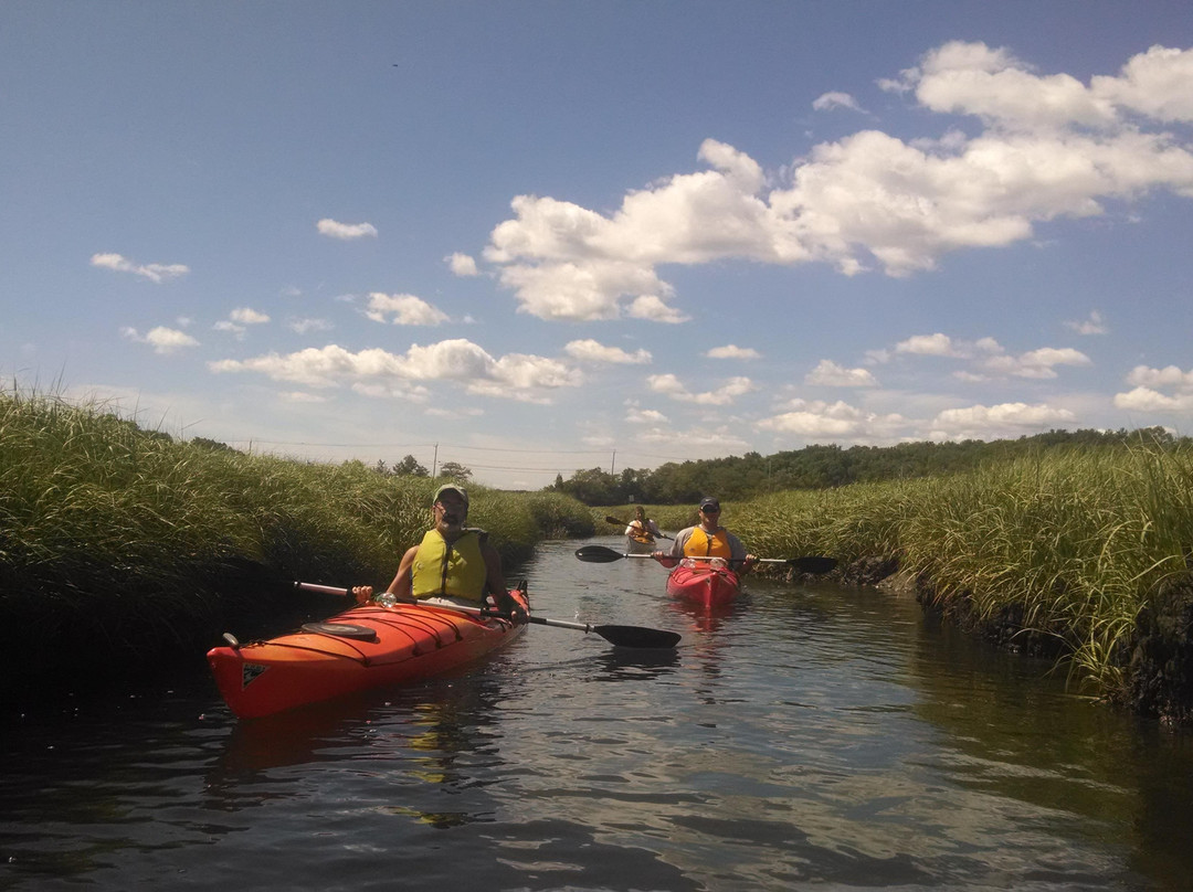Essex River Basin Adventures景点图片