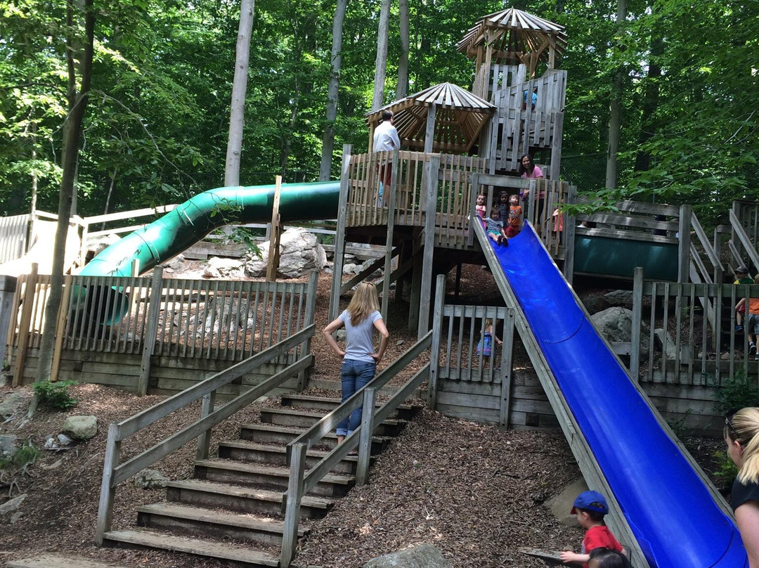 Stamford Museum & Nature Center-斯坦福必去景点