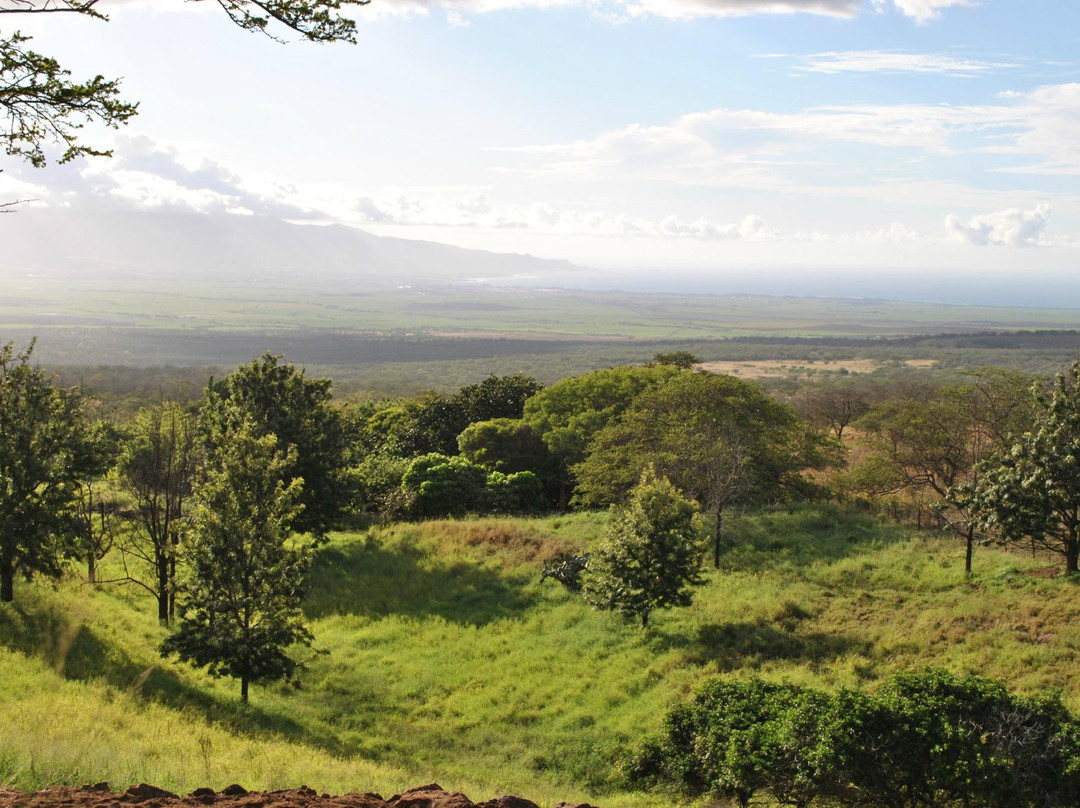 Kupa'a Farms-库拉必去景点