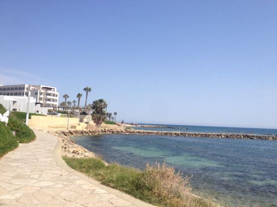 Cyprus Truffles-帕福斯必去景点