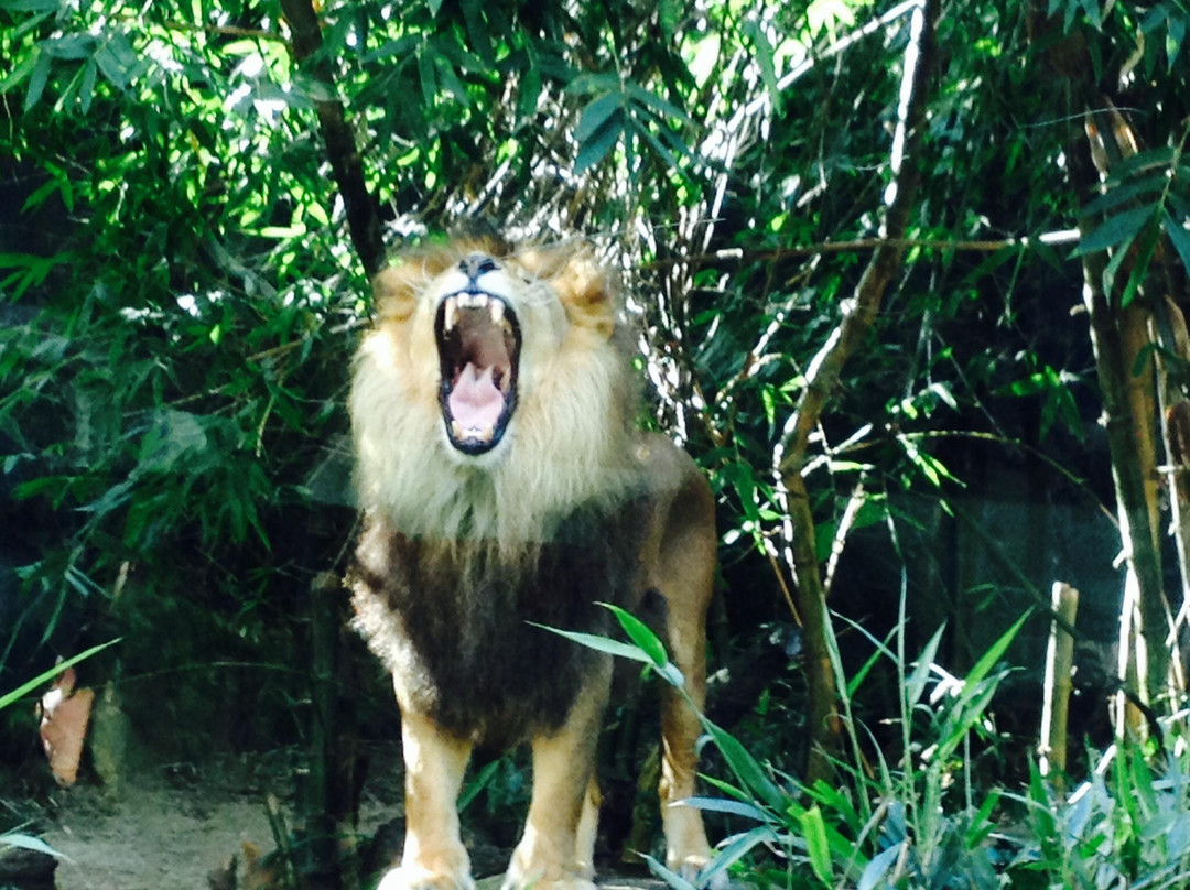 塔瑞噶野生动物园-莫斯曼必去景点