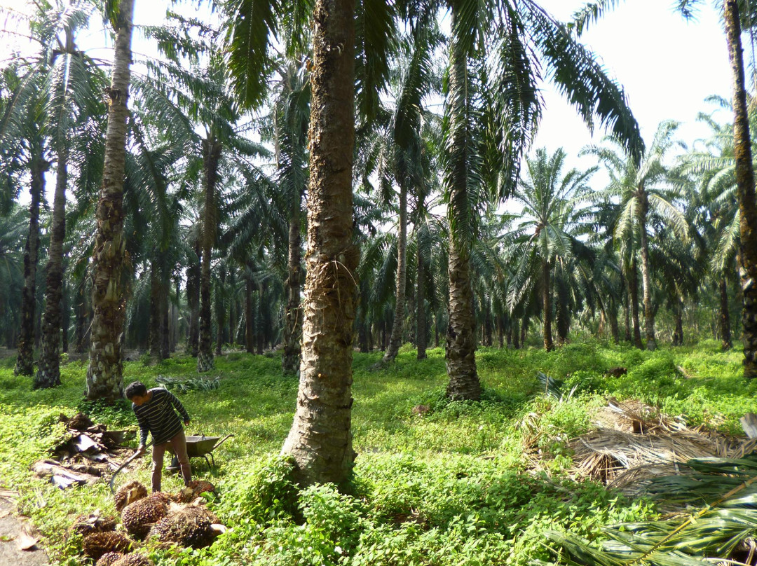 Melaka On Bike - Day Tours-马六甲必去景点