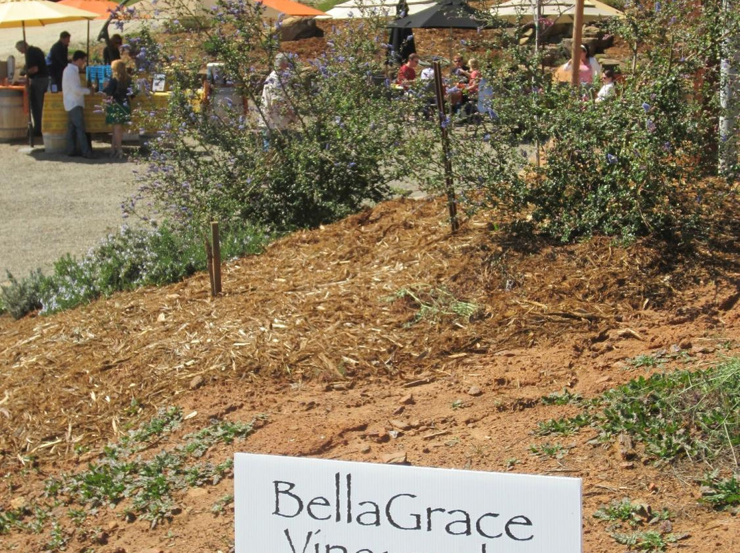 BellaGrace Vineyards景点图片