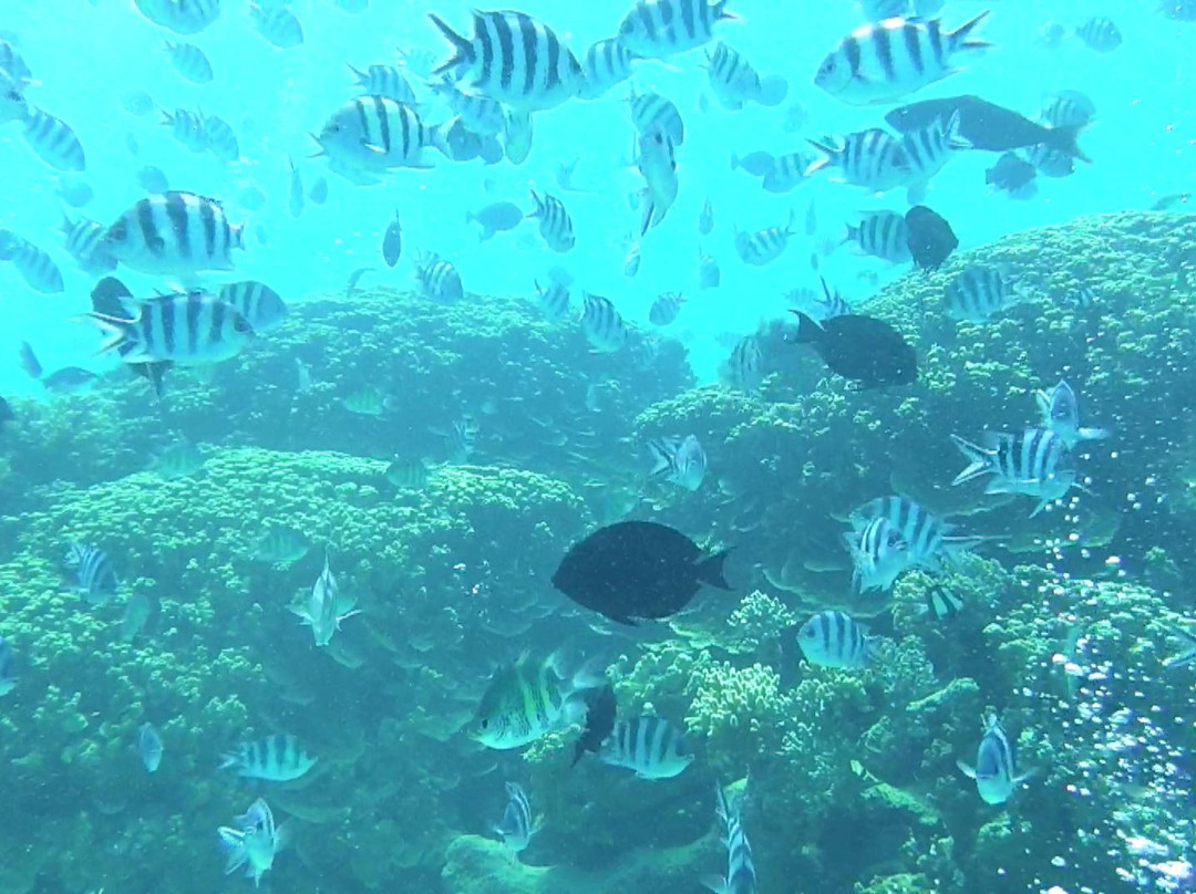 Seawalker Tours-Piti必去景点