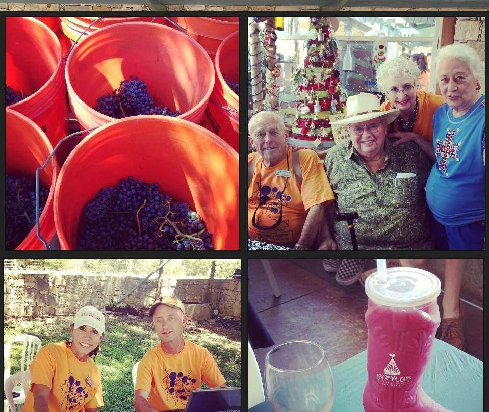 Dry Comal Creek Vineyards-新布朗费尔斯必去景点