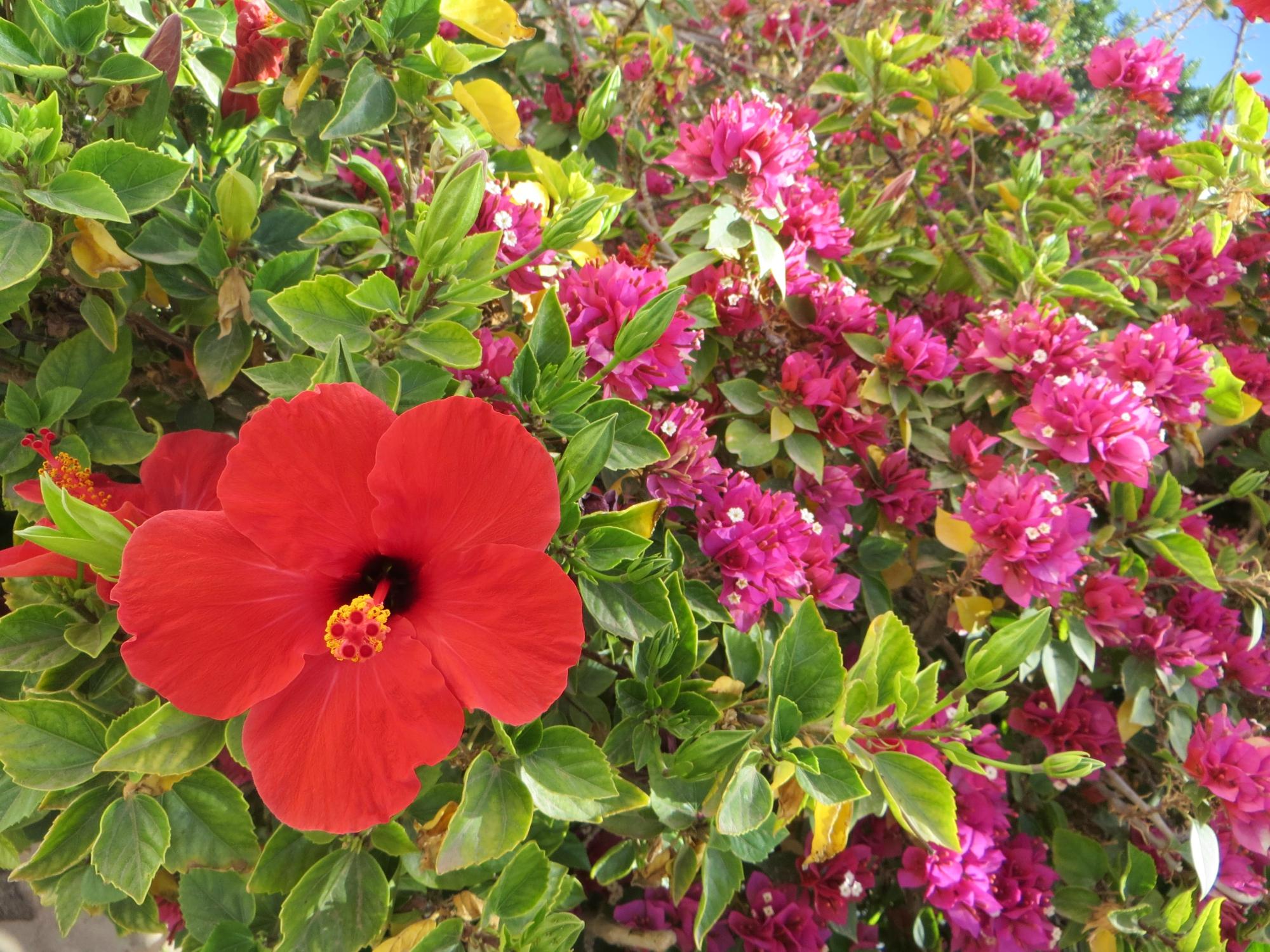 Le Relais des Sables-客卧