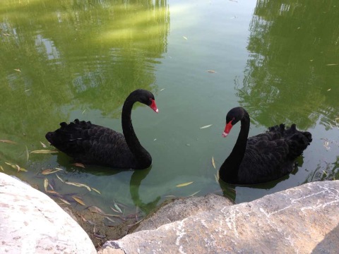 北京会议中心-客卧