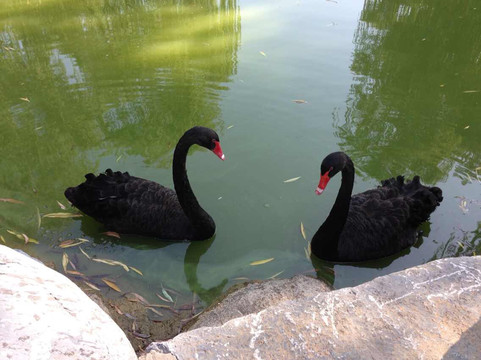 北京会议中心主图