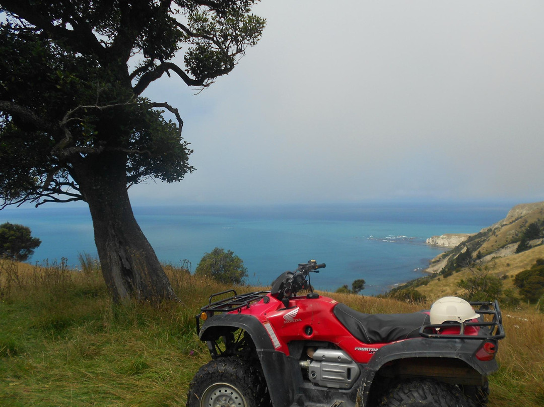 Glenstrae Farm 4 Wheel Adventures-Kaikoura必去景点