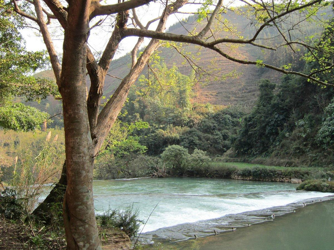 罗平多依河-罗平县必去景点