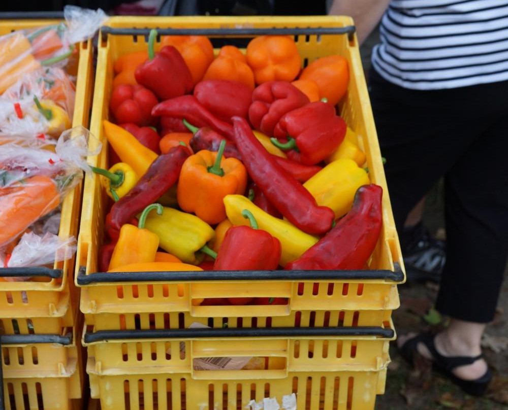 Hawkes Bay Farmers' Market-黑斯廷斯必去景点