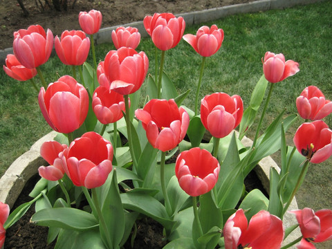 中山公园-北京市必去景点