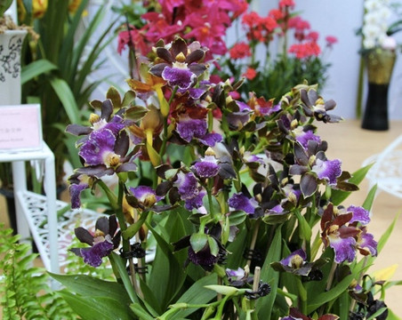 植物园-北京市必去景点