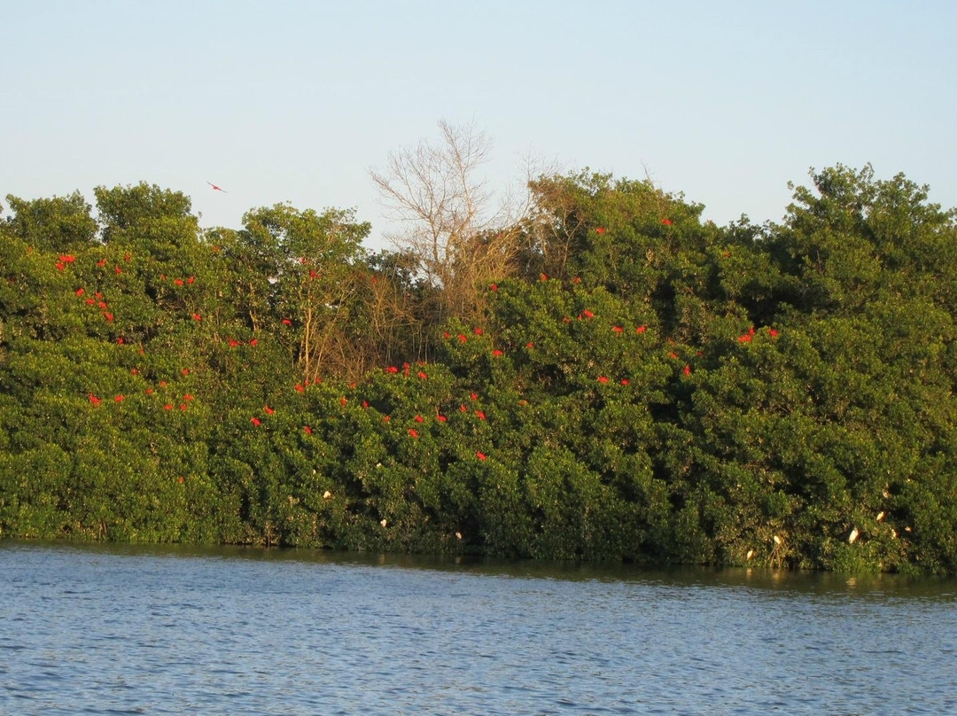 Caroni Lagoon National Park-特立尼达必去景点