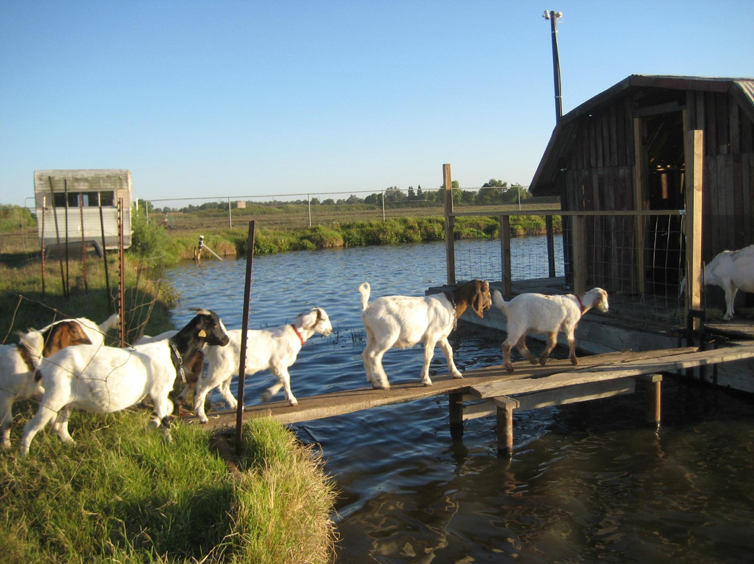 Little House on the Fish Farm at J and J Aquafarms主图