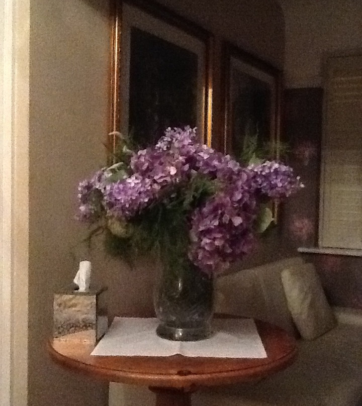 Spring Cottage Guest House主图