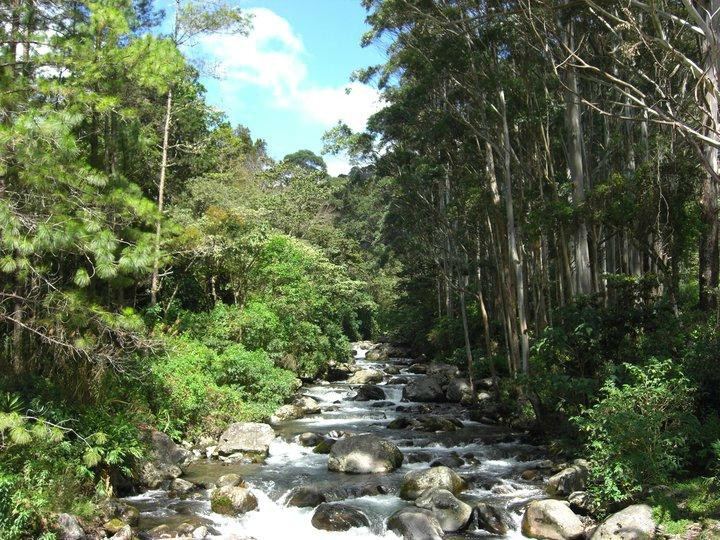 The Lost Waterfalls-Boquete景点图片