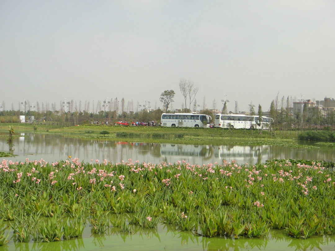 海东湿地公园-昆明市必去景点