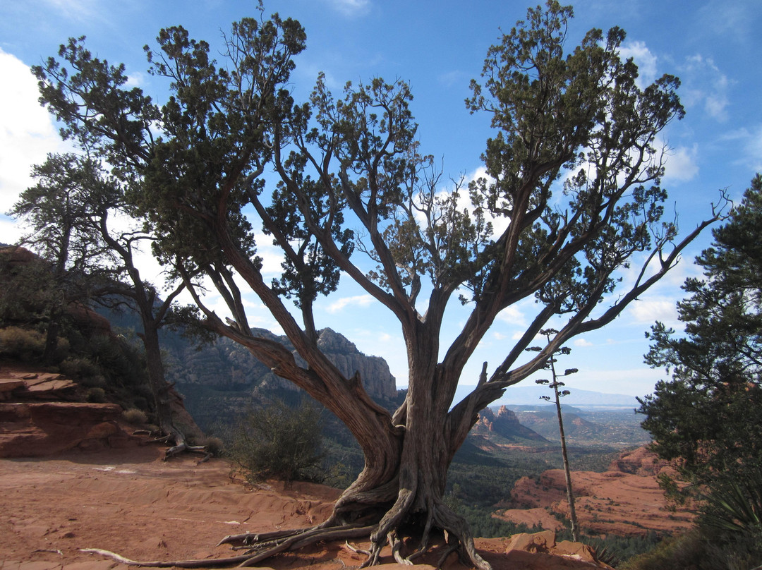 Schnebly Hill Road-塞多纳必去景点