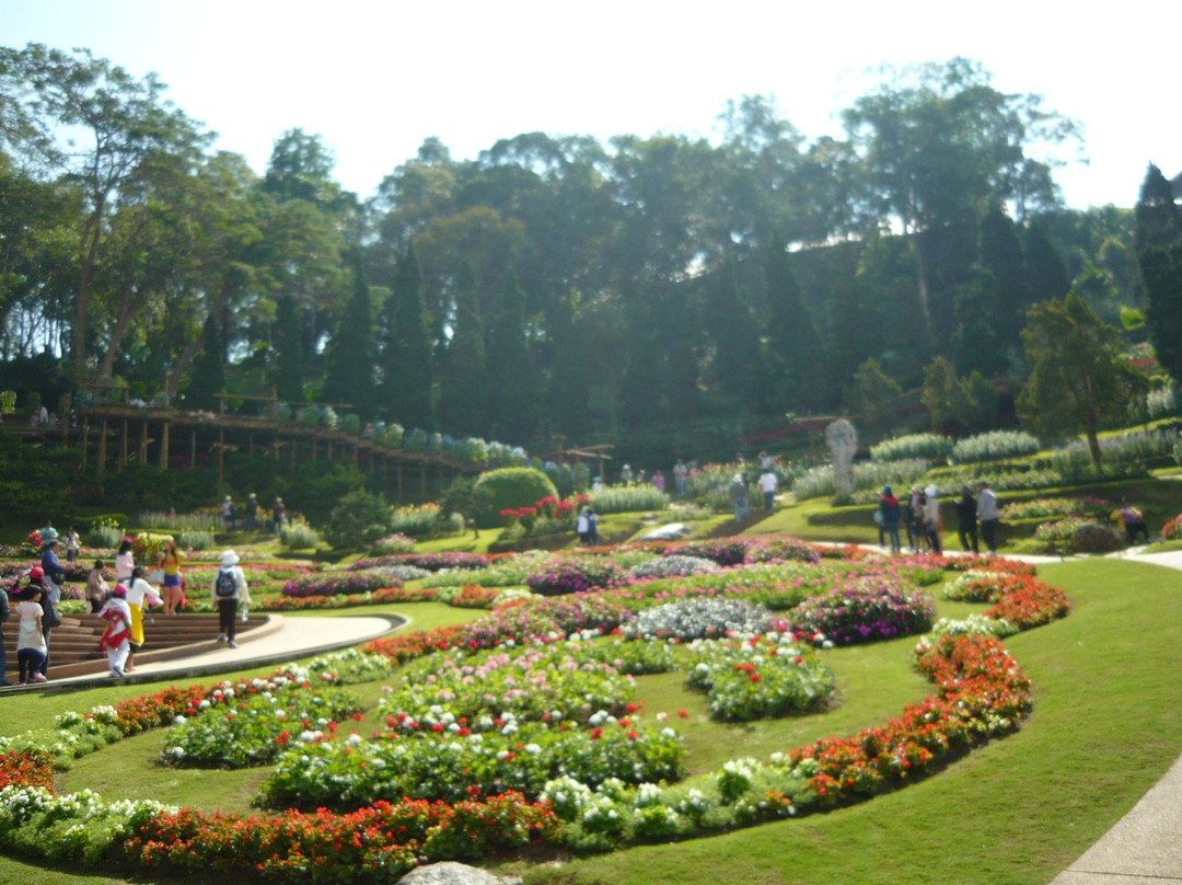 Doi Tung-夜发銮必去景点