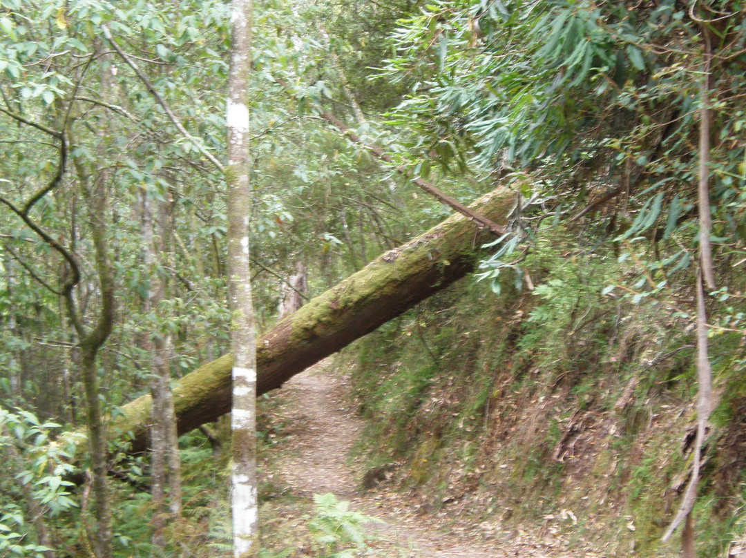 厄斯金瀑布-洛恩必去景点