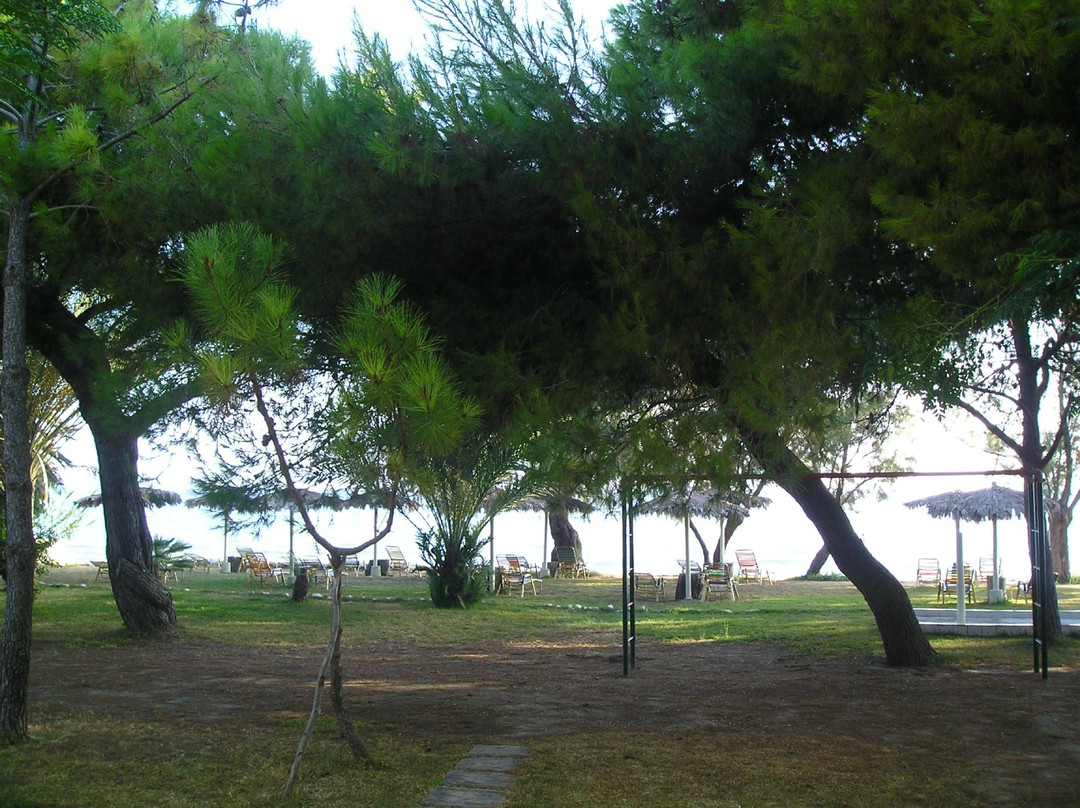 Mimoza Beach Bar-Argassi必去景点