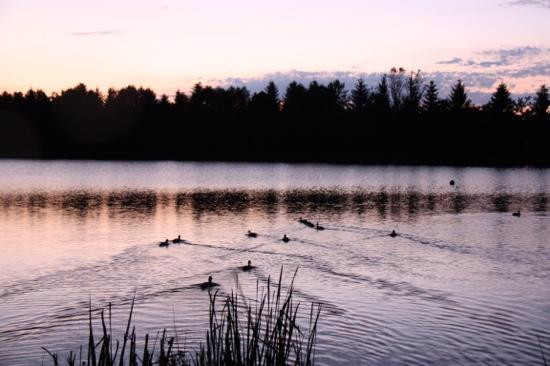Camping Municipal de la Seuge