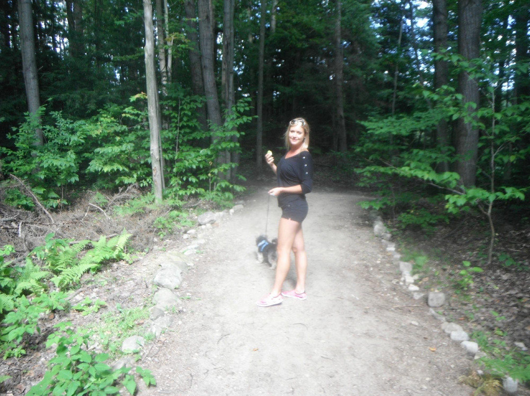 High Falls Park-Chateaugay必去景点