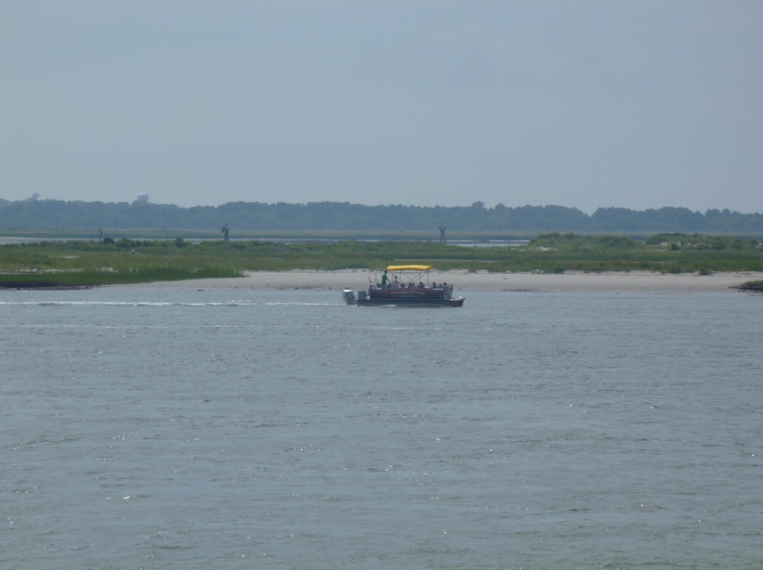 Assateague Adventure-钦科蒂格岛必去景点