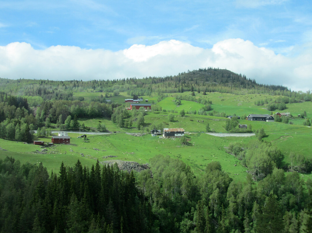 The Bergen Railway-奥斯陆必去景点