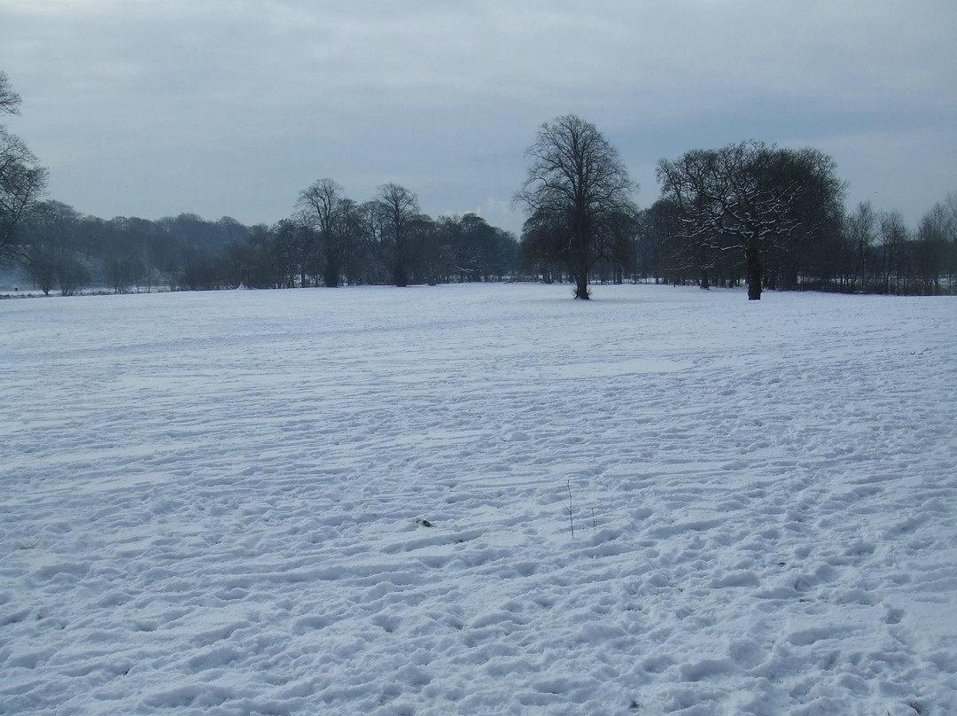 Witton Country Park景点图片