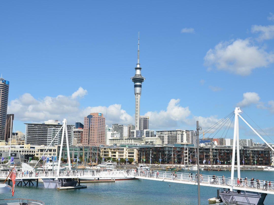 高架桥港-奥克兰中心地区必去景点