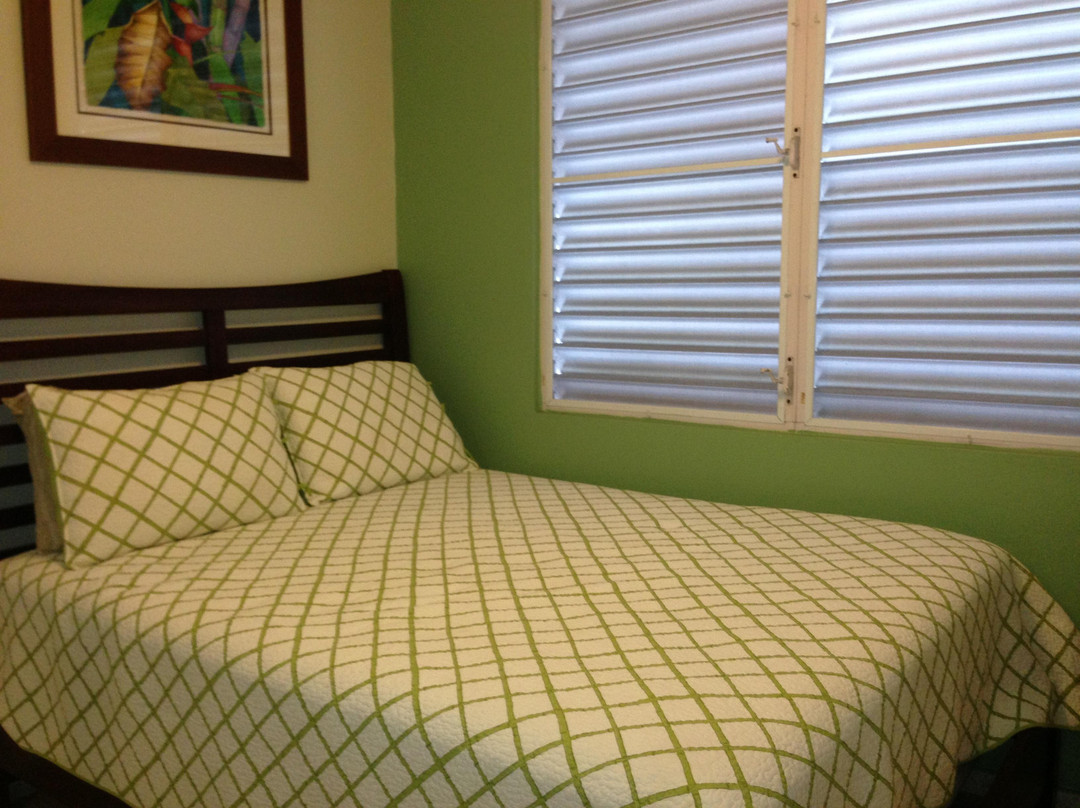 Playa Oeste Gallery-吕康必去景点