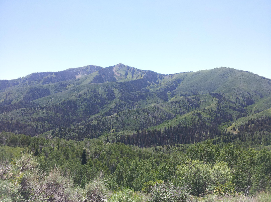 Midway Adventure Company-Midway必去景点