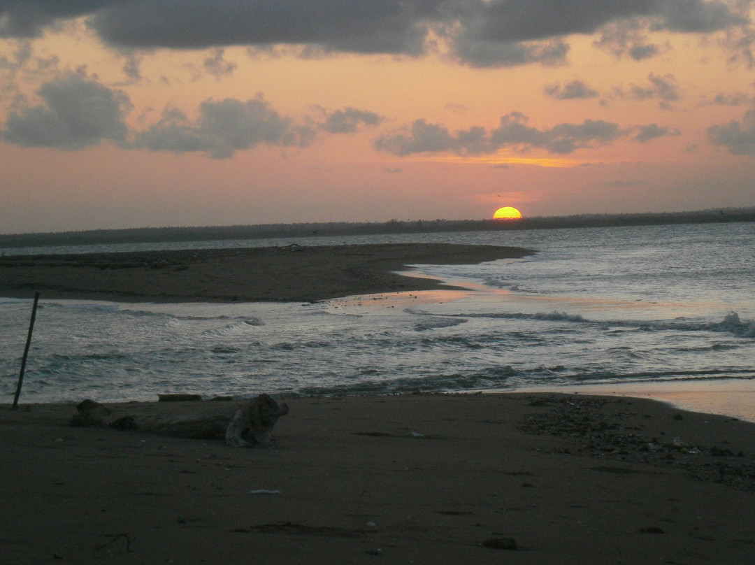 Amo Zanzibar Tours & Safaris-石头城必去景点