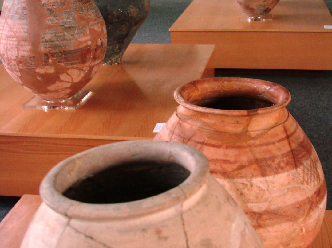 Santos Rocha Municipal Museum景点图片