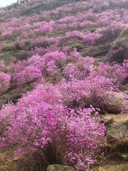 胶南大珠山-胶南市必去景点
