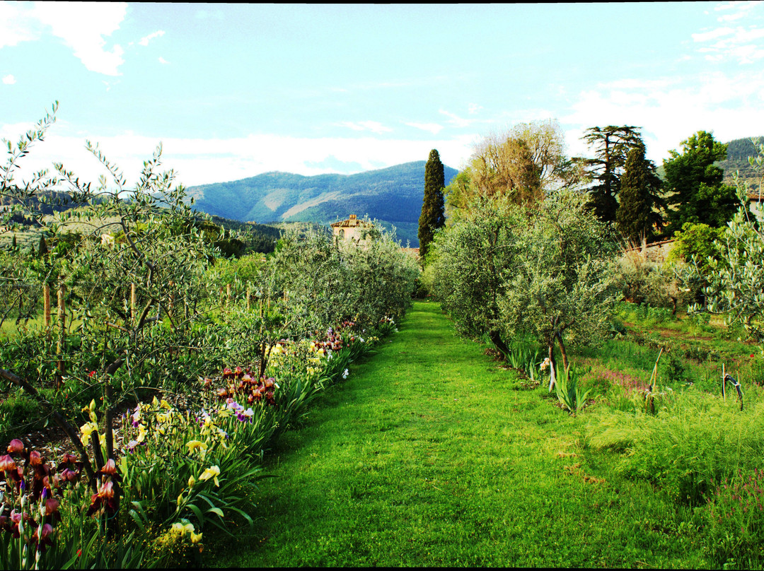 Villa Il Paradisino