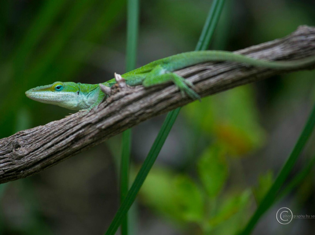 Overlook Park-峡谷湖必去景点