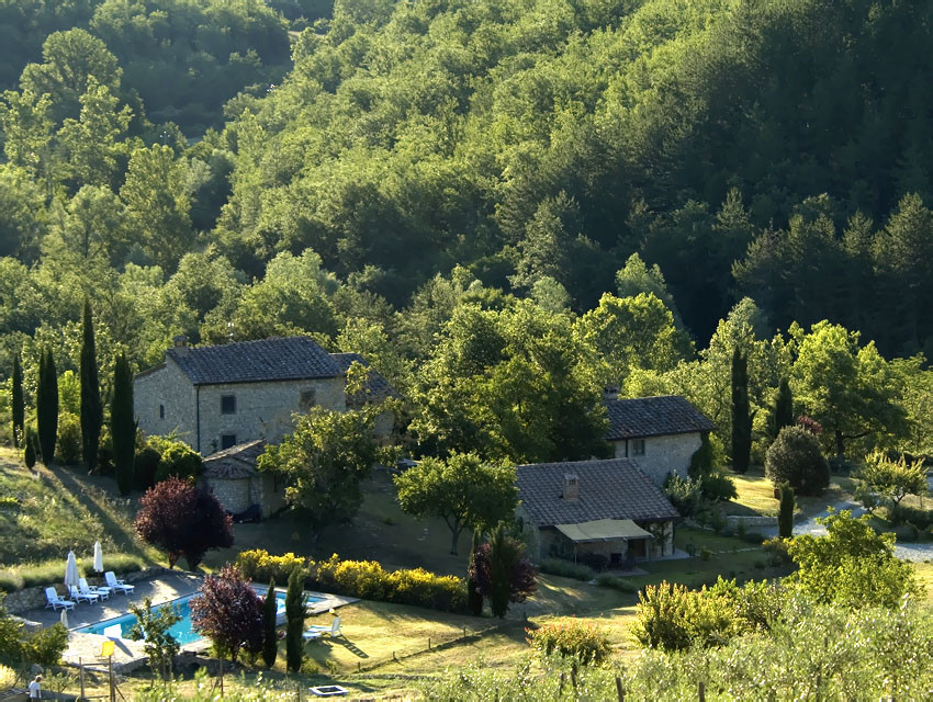 Pornanino
