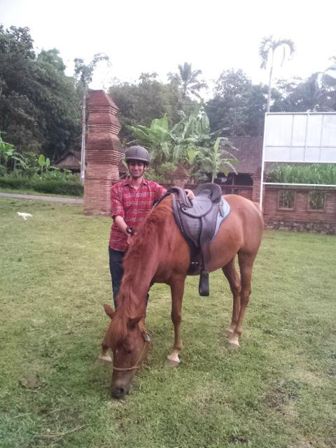 Havana Horses-沙拉迪加必去景点