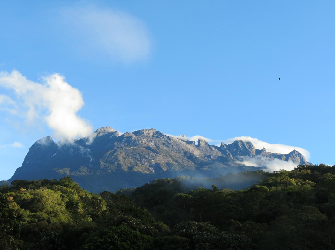 Exotic Borneo Travel Management-亚庇必去景点