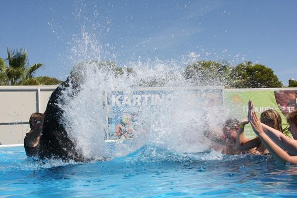 Swim With Sea Lions-夸尔泰拉必去景点
