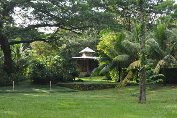 Finca Codeso景点图片