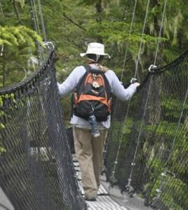 Metlakatla Wilderness Trail景点图片