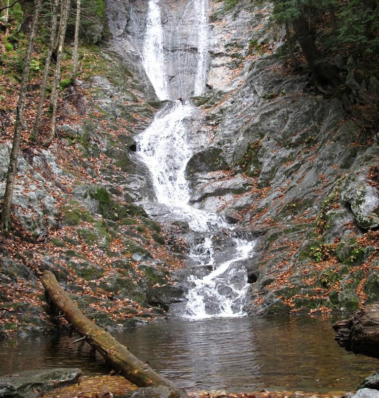 Savoy Mountain State Forest景点图片