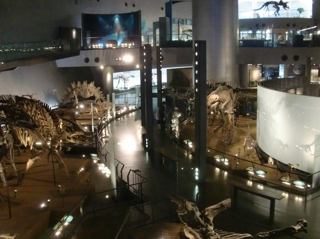 Fukui Prefectural Dinosaur Museum-胜山市必去景点
